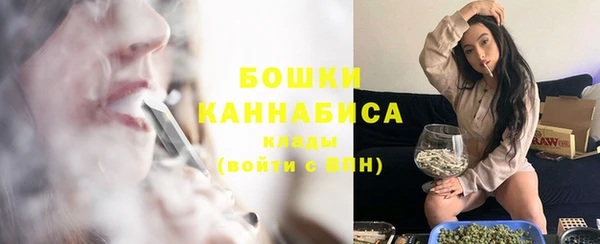 мдпв Лиски