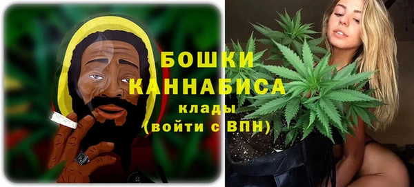 мдпв Лиски