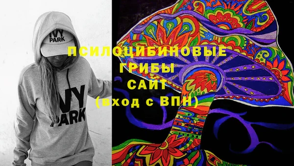 Альфа ПВП Магас