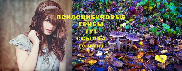 Альфа ПВП Магас