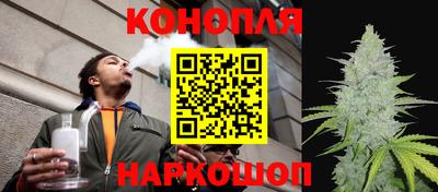 гидра Бузулук