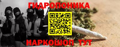 индика Кимры