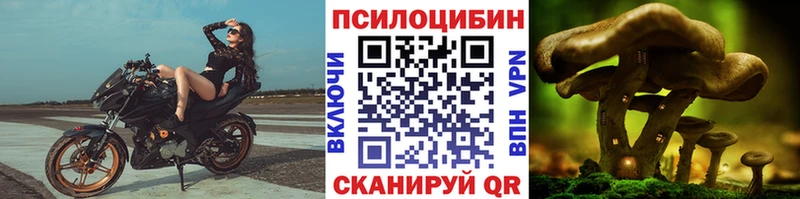 Галлюциногенные грибы ЛСД  Моршанск 