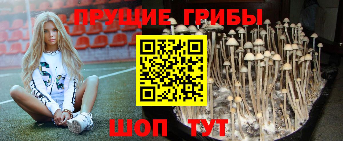 Псилоцибиновые грибы мухоморы  Псилоцибиновые грибы мухоморы  Моршанск 