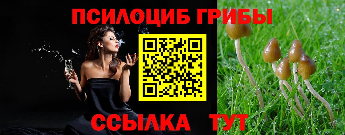 Галлюциногенные грибы GOLDEN TEACHER Моршанск